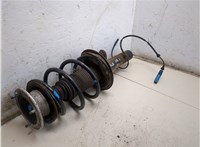 31313453521, 3453521, 31333412729 Амортизатор подвески BMW X3 E83 2003-2010 20306606 #7