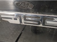  Борт откидной Ford F-150 2005-2008 20306993 #5