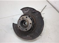  Ступица (кулак, цапфа) BMW X5 E53 2000-2007 20307749 #1