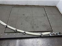  Подушка безопасности боковая (шторка) Volvo S40 2004- 20307919 #1