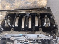  Блок цилиндров (Шорт блок) Nissan Navara 2005-2015 20308043 #3