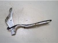  Петля капота Skoda Rapid 20308743 #1