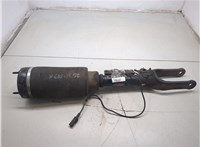 A2513203013 Амортизатор подвески Mercedes R W251 2005-2017 20308898 #7
