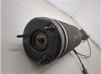 A2513203013 Амортизатор подвески Mercedes R W251 2005-2017 20308898 #8