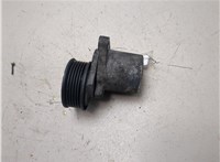 1371224 Натяжитель приводного ремня Ford Mondeo 3 2000-2007 20308992 #5