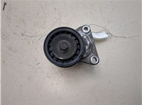 1371224 Натяжитель приводного ремня Ford Mondeo 3 2000-2007 20308992 #7