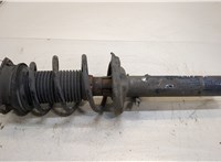 5WA413031S, 5Q0411105GJ Амортизатор подвески Skoda Octavia (A8) 2019- 20309070 #1
