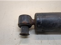  Амортизатор подвески Ford Transit 2006-2014 20309099 #2