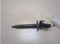 LR017925 Форсунка топливная Land Rover Range Rover Sport 2013- 20309255 #1