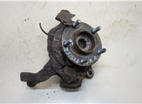  Ступица (кулак, цапфа) Nissan Murano 2002-2008 20309534 #1