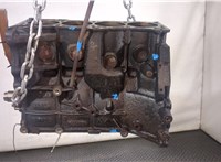  Блок цилиндров (Шорт блок) Nissan Primera P12 2002-2007 20309706 #1