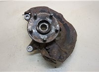  Ступица (кулак, цапфа) Lexus RX 2003-2009 20309826 #1