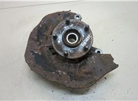  Ступица (кулак, цапфа) Lexus RX 2003-2009 20309841 #1