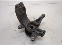  Ступица (кулак, цапфа) Renault Megane 2 2002-2009 20309937 #2