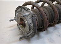  Амортизатор подвески Peugeot 407 20309969 #2