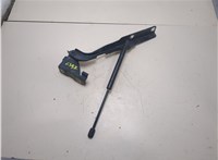  Петля капота Ford F-150 2009-2014 20309990 #2