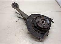  Ступица (кулак, цапфа) Volkswagen Golf 5 2003-2009 20310024 #1