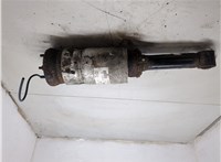 RNB501250, 22241484 Амортизатор подвески Land Rover Discovery 3 2004-2009 20310025 #5