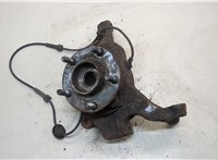 Ступица (кулак, цапфа) Nissan Murano 2002-2008 20310075 #1