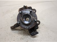  Ступица (кулак, цапфа) Ford Focus 2 2005-2008 20310095 #1