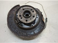  Ступица (кулак, цапфа) Mercedes R W251 2005- 20310190 #1