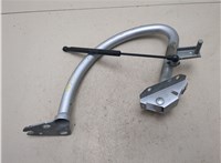 8T0827381F Петля крышки багажника Audi A5 (8T) 2007-2016 20310273 #5