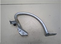 8T0827302F Петля крышки багажника Audi A5 (8T) 2007-2016 20310278 #1