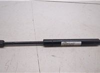 654717S000 Амортизатор капота Nissan Armada 2003-2016 20310476 #3