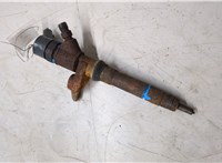 504389548, 0445110418 Форсунка топливная Fiat Ducato 2006-2014 20310696 #2
