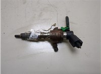 9802448680 Форсунка топливная Peugeot 5008 2009-2016 20310881 #1