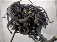  Двигатель (ДВС) Ford F-150 2009-2014 20310908 #1