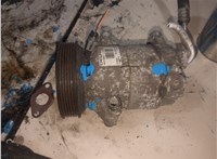  Компрессор кондиционера Renault Megane 2 2002-2009 20311123 #1