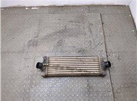  Радиатор интеркулера Ford Transit 2014- 20312700 #1