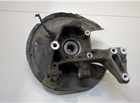  Ступица (кулак, цапфа) Volkswagen Tiguan 2011-2016 20312728 #1