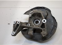  Ступица (кулак, цапфа) Volkswagen Tiguan 2011-2016 20312741 #1