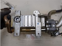  Охладитель отработанных газов Toyota RAV 4 2006-2013 20312832 #3