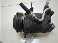  Компрессор кондиционера Nissan Murano 2002-2008 20312982 #1