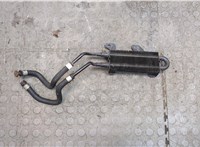  Радиатор масляный Nissan Armada 2003-2016 20313029 #1