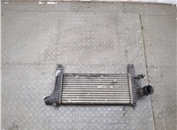  Радиатор интеркулера Nissan Navara 2005-2015 20313219 #1
