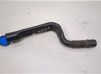  Горловина заливная бачка омывателя Land Rover Discovery 4 2009-2016 20313281 #1