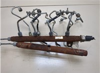  Рампа (рейка) топливная Land Rover Range Rover 3 (LM) 2002-2012 20313299 #4