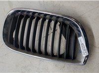 7030550 Решетка радиатора BMW 3 E46 1998-2005 20313563 #8