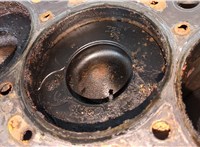  Блок цилиндров (Шорт блок) Ford Galaxy 2006-2010 20314057 #11