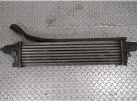  Радиатор интеркулера Jaguar X-type 20314308 #1