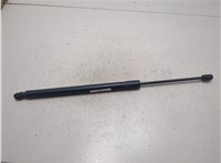 6L8Z78406A10A, YL8Z78406A11AA Амортизатор крышки багажника Ford Escape 2001-2006 20314685 #3