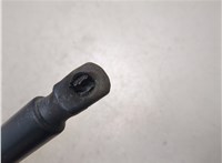 6L8Z78406A10A, YL8Z78406A11AA Амортизатор крышки багажника Ford Escape 2001-2006 20314685 #5