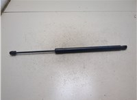 6L8Z78406A10A, YL8Z78406A11AA Амортизатор крышки багажника Ford Escape 2001-2006 20314688 #3