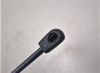 6L8Z78406A10A, YL8Z78406A11AA Амортизатор крышки багажника Ford Escape 2001-2006 20314688 #5