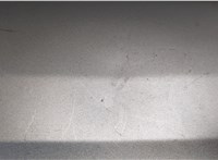  Молдинг двери Renault Scenic RX4 20315276 #4