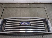  Решетка радиатора Ford F-150 2009-2014 20315525 #1